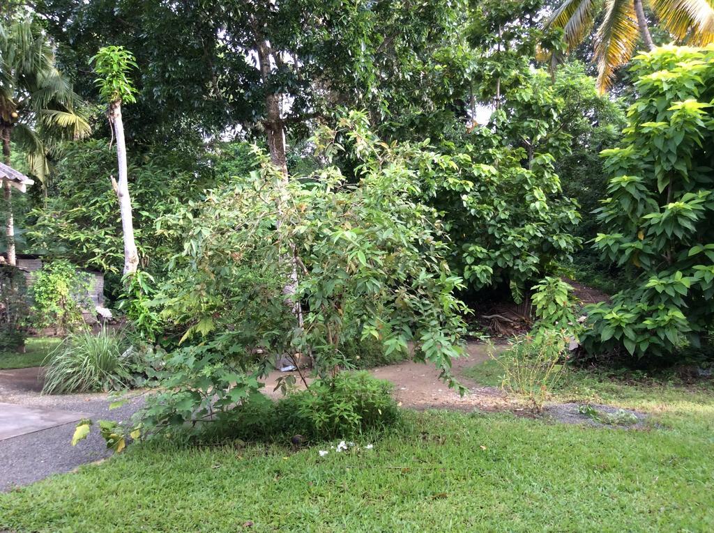 Fern Dale Villa Weligama Rum bild